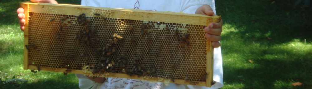 a frame of, raw local honey, in, Montclair NJ, Essex County